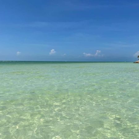 Pool View Loft Steps From The Ocean In Punta Cocos - C101 Hotel Isla Holbox Екстериор снимка