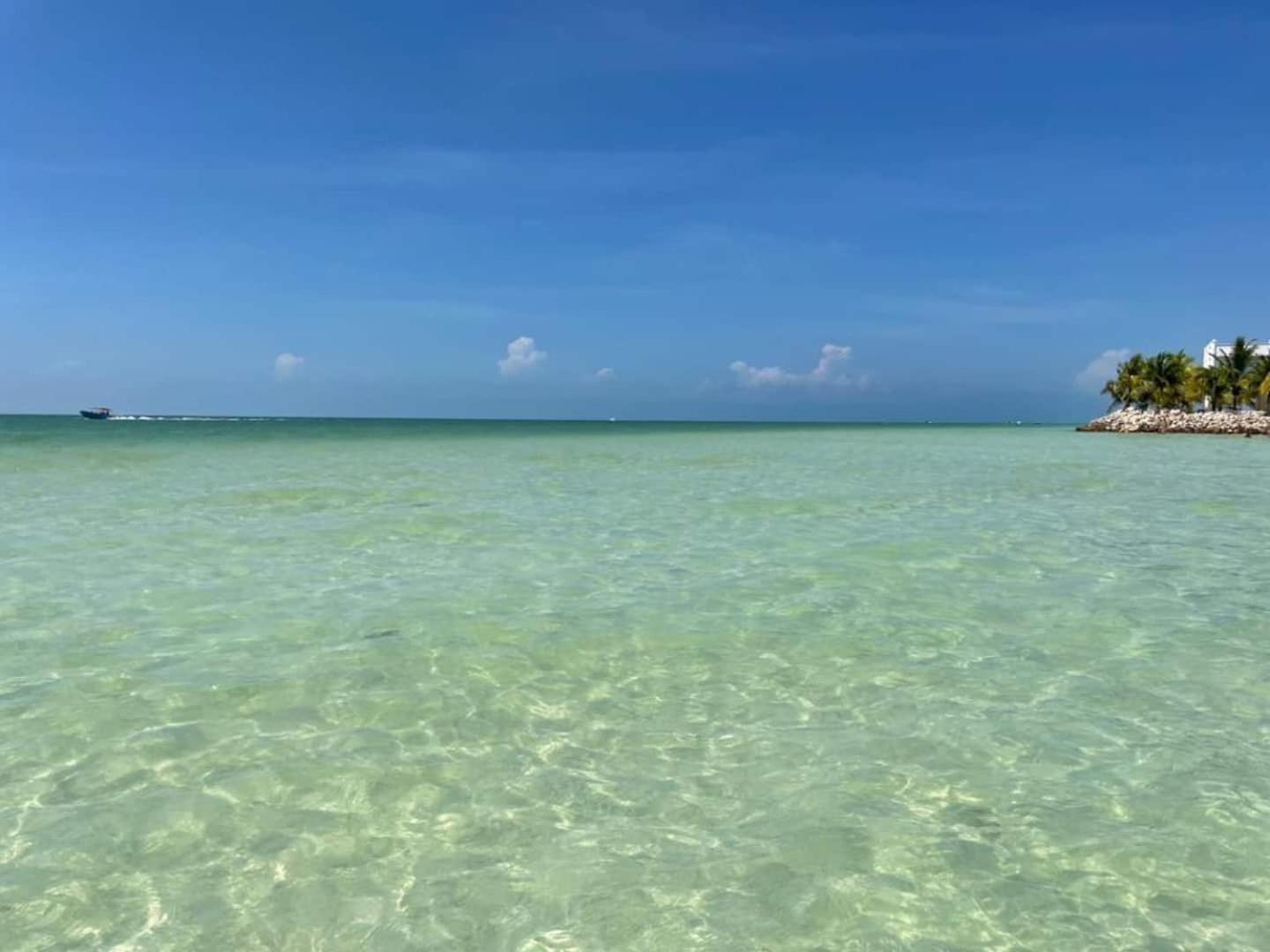 Pool View Loft Steps From The Ocean In Punta Cocos - C101 Hotel Isla Holbox Екстериор снимка