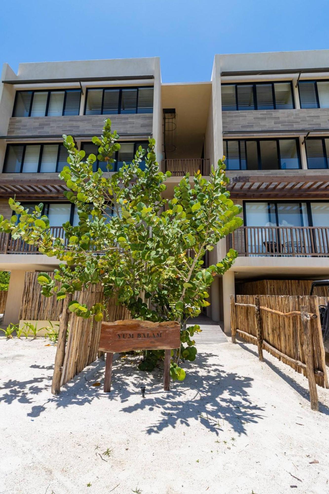 Pool View Loft Steps From The Ocean In Punta Cocos - C101 Hotel Isla Holbox Екстериор снимка
